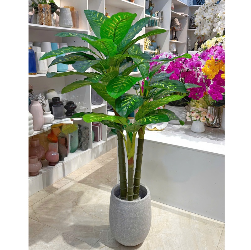 Chậu cây giả vạn niên thanh kèm chậu